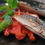 Les Rêves De Baie De Somme D'hôtes , Table D'hôtes Et Béhen